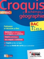 Croquis De Géographie Terminale L, ES, S (2014) De Collectif - 12-18 Anni