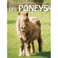 Les Poneys (2013) De Collectif - Animaux