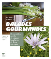 Balades Gourmandes : Reconnaître Cueillir Et Cuisiner Les Plantes Et Fleurs Sauvages (2017) De Noémie V - Nature