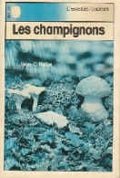 Les Champignons (1983) De Jean Keller - Natur