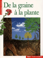 De La Graine à La Plante (2002) De Aline Ouvrage Collectif Raynal-roques - Wetenschap