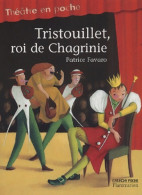 Tristouillet Roi De Chagrinie (2001) De Favaro Patrice - Sonstige & Ohne Zuordnung