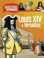 Louis XIV à Versailles (2013) De Jean-Michel Billioud - Geschiedenis