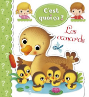 Les Canards (2015) De Emilie Beaumont - Autres & Non Classés