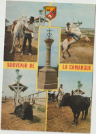 LD61 : Bouches Du Rhône : LA  CAMARGUE : Vues , Gardian , Chevaux - Autres & Non Classés