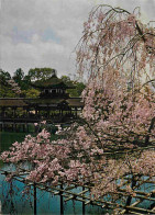 Japon - Kyoto - Heian Shrine - Sanctuaire - Nippon - Japan - CPM - Voir Scans Recto-Verso - Kyoto