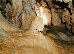 Spéléologie - Grottes De Vallorbe - Le Bison - Suisse - Switzerland - Potholing - Cave - CPM - Carte Neuve - Voir Scans  - Other & Unclassified