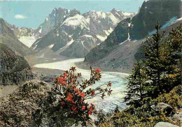 74 - Chamonix - Mont-Blanc - La Mer De Glace - Les Grandes Jorasses - CPM - Voir Scans Recto-Verso - Chamonix-Mont-Blanc