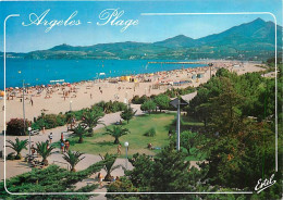 66 - Argelès Sur Mer - La Plage - Dans Le Fond Les Albères - CPM - Voir Scans Recto-Verso - Argeles Sur Mer