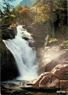 65 - Cauterets - La Cascade Du Cerisey - CPM - Voir Scans Recto-Verso - Cauterets