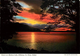 Irlande - Kerry - Killarney - Sunset Over Muckross Lake - Coucher De Soleil - Ireland - CPM - Voir Scans Recto-Verso - Kerry