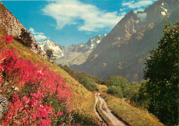 05 - Hautes Alpes - Col Du Lautaret - Au Fond, Le Pic Des Agneaux (3663 M.) - Fleurs - Carte Neuve - CPM - Voir Scans Re - Otros & Sin Clasificación