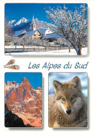 Animaux - Loups - Alpes Du Sud - Multivues - CPM - Voir Scans Recto-Verso - Autres & Non Classés