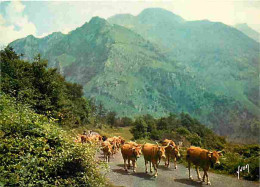 Animaux - Vaches - Pyrénées - En Route Vers Les Hauts Pâturages - Montagnes - CPM - Voir Scans Recto-Verso - Vacas