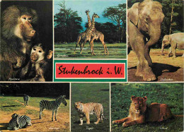 Animaux - Stukenbrock I W - Multivues - Zoo - CPM - Voir Scans Recto-Verso - Autres & Non Classés