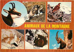 Animaux - Animaux De La Montagne - Chamois - Renard - Ecureuil - Aigle Royal - Marmotte - Bouquetin - Multivues - CPM -  - Sonstige & Ohne Zuordnung