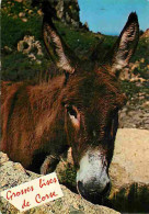 Animaux - Anes - Corse - CPM - Voir Scans Recto-Verso - Asino