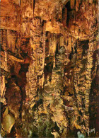 34 - Hérault - Grotte Des Demoiselles - La Caverne Merveilleuse - La Cathédrale - Spéléologie - CPM - Voir Scans Recto-V - Autres & Non Classés