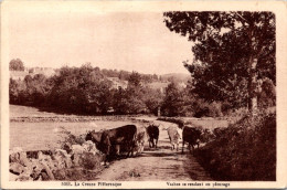 20862 Cpa 2" La Creuse - Vaches Se Rendant Au Pâturage - Andere & Zonder Classificatie