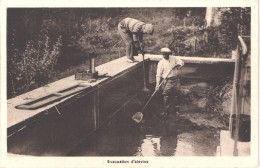 FR66 PRATS DE MOLLO - Chauvin - Pisciculture FISCHBACH - évacuation D'alevins- Animée - Belle - Other & Unclassified