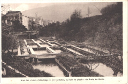 FR66 PRATS DE MOLLO - Chauvin - Pisciculture FISCHBACH - Vivier D'alevinage Et De Truitelles - Belle - Sonstige & Ohne Zuordnung