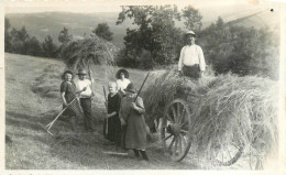 270524A - CARTE PHOTO AGRICULTURE - FENAISON FOIN Juin 1945 En Ile De France Au Combalou - Culture