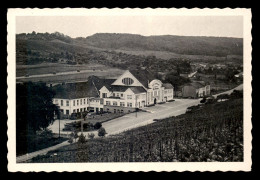 LUXEMBOURG - CAVES COOPERATIVES DES VIGNERONS DE WELLENSTEIN-SUR-MOSELLE - VUE GENERALE - Altri & Non Classificati