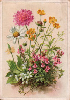 H2657 - Glückwunschkarte Blumen Künstlerkarte - Carl Warnecke Halle CAWAR - Flores