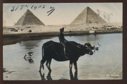 EGYPTE - LE CAIRE - THE PYRAMID - Cairo