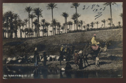 EGYPTE - LE CAIRE - THE BANKS OF THE NILE - Le Caire