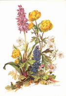 H2661 - Kallista Glückwunschkarte Blumen Künstlerkarte - Planet Verlag DDR - Flores