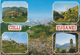 AK 213873 ITALY - Colli Euganei - Altri & Non Classificati