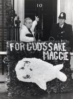 Spike Milligan Culling Seal Hunting Protest Downing Street Press Photo - Artistes