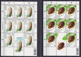 SLOVENIA 2024,EUROPA CEPT, UNDERWATER FLORA AND FAUNA,SHEET,MNH - Slowenien