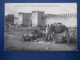 CPA CARTE POSTALE  - OUDJDA  ( MAROC  ) -  GROUPE DE CHAMEAUX DEVANT LA PORTE DES TÊTES - Sonstige & Ohne Zuordnung