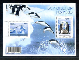 060524   BLOC PROTECTION DES POLES - Unused Stamps