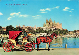 ESPAGNE - Mallorca - Palma De Mallorca - Vista Bahia , La Lonja Y Catedral - Colorisé - Carte Postale - Mallorca