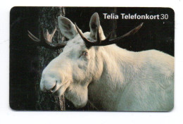 Animal Télécarte Suède Phonecard  (W 648) - Zweden