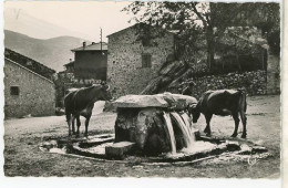 66 VERNET-LES-BAINS ++ La Source Du Château ++ - Autres & Non Classés