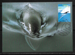 89-Y&T 104 Baleine - Australian Antarctic Territory Sur Carte MAXI FDC Du 15 Juin 1995 - Cartas & Documentos