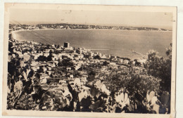 CP Vallauris Vue Sur Le Golfe Juan - Vallauris