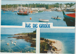 LD61 : Morbihan : Ile D E GRoix  : Vue , Port Tudy - Autres & Non Classés