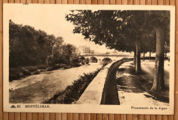 26 Montélimar - 1939 - Promenade De La Digue - Cie Des Arts Photomécaniques 52 - Montelimar