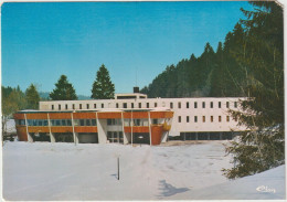 LD61 : Doubs :  JOUGNE  : Vue   Chalet De La  Gendarmerie - Sonstige & Ohne Zuordnung