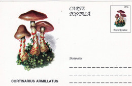 Entier Postal Neuf Roumain édition Luxe Glacé Brillant N° 092 Série 891/1000 Champignon  Mushroom Champignons Pilze - Paddestoelen