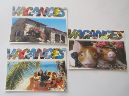 VACANCES -lot De 3 Cartes - Non Classificati