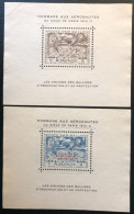 France, 2 Blocs HOMMAGE AUX AERONAUTES - (A1505) - Foglietti Commemorativi