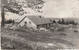 LA SOLIAT CREUX- DU -VAN - Sonstige & Ohne Zuordnung