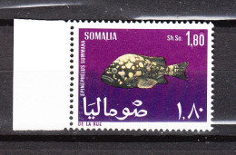 Somalia  - 1967. Cernia. Grouper. Epinephelus.  MNH - Fische