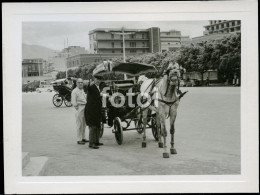 1966 CAMEL CART PALERMO ITALIA ITALY REAL ORIGINAL AMATEUR PHOTO FOTO CF - Lieux